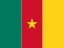 flag of Cameroon